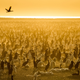 Image for article titled Netflix’s Our Planet Delivers Thrills, But Something's Missing
